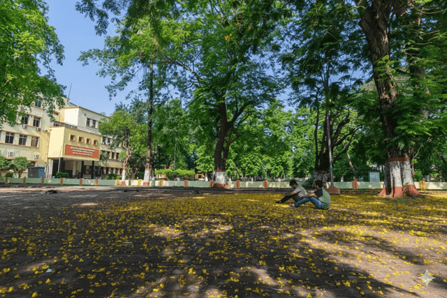 Ground Block